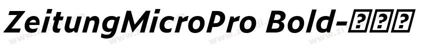 ZeitungMicroPro Bold字体转换